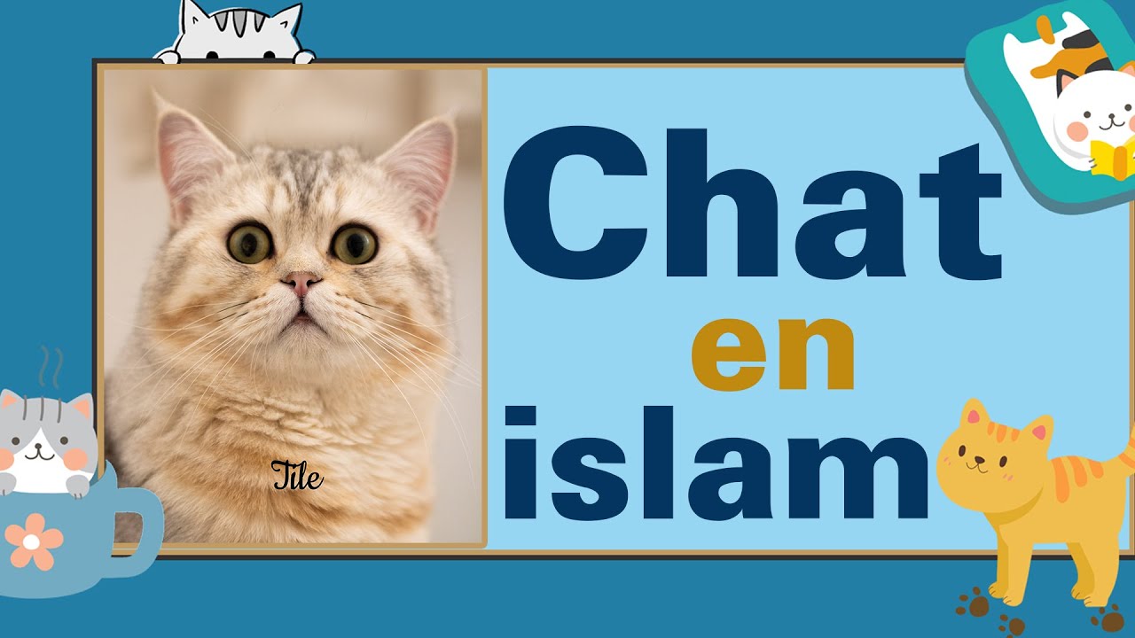 chat du prophète